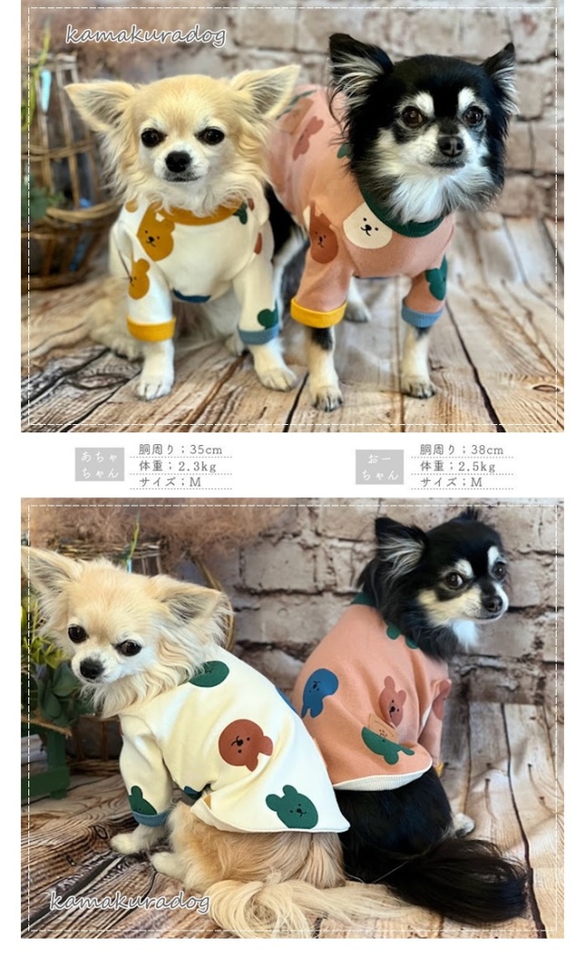 可愛い小型犬の洋服通販 鎌倉ドッグ ランダムカラーくまちゃんトップス