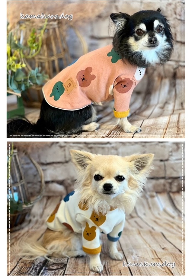 犬服ハンドメイド♡くまレオちゃん 犬服ハンドメイド♡くまレオちゃん様専用 犬用品