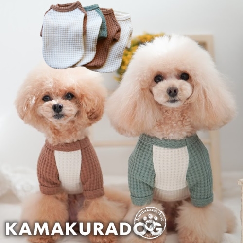 デイリーワッフルＴ