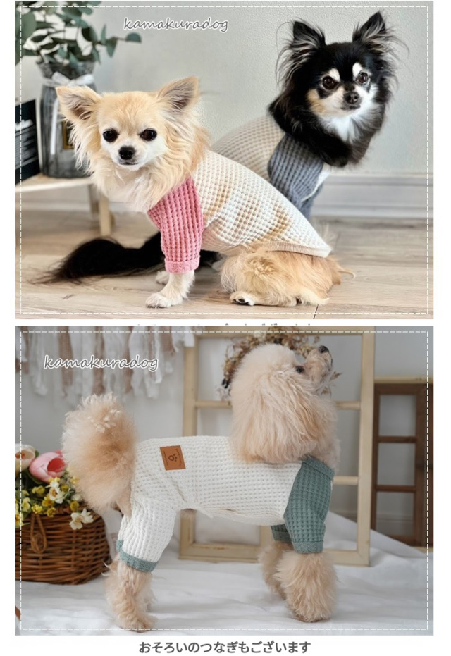 可愛い小型犬の洋服通販 鎌倉ドッグ デイリーワッフルT
