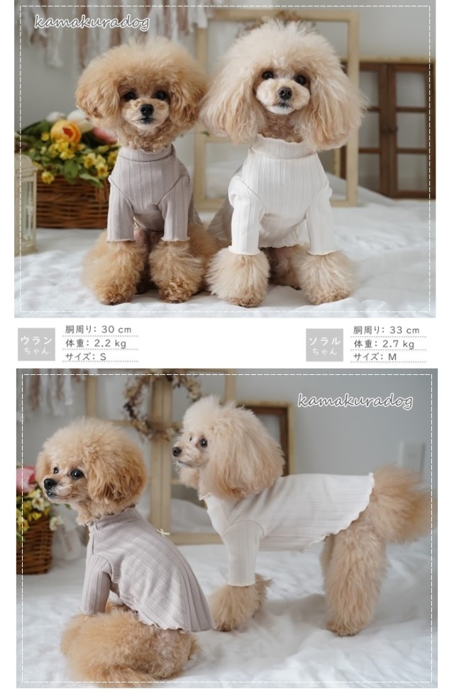 【新品】W143♡ボリュームフリル♡もふもふケ-プ防寒着ネックレス付-小型犬 w562a.jpg