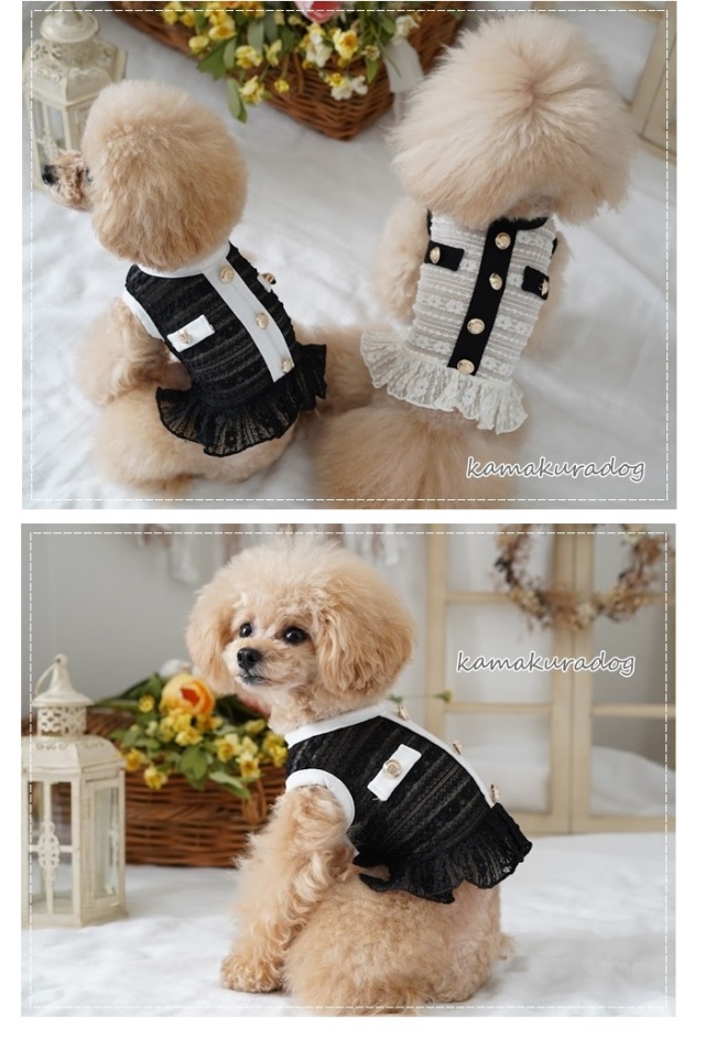 可愛い小型犬の洋服通販 鎌倉ドッグ ドレスアップレース