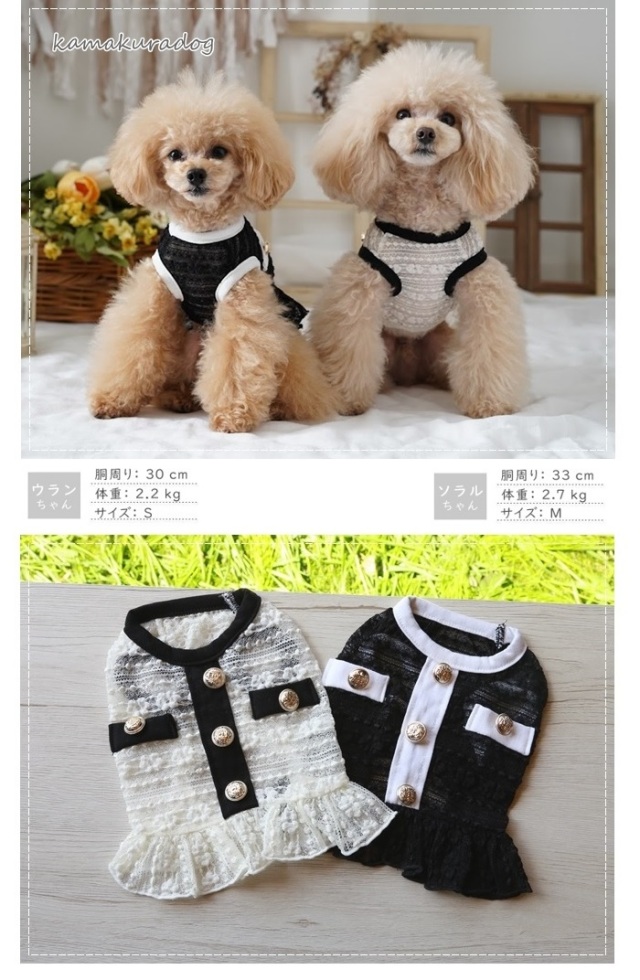 可愛い小型犬の洋服通販 鎌倉ドッグ ドレスアップレース