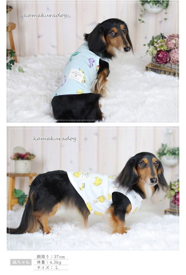 可愛い小型犬の洋服通販 鎌倉ドッグ バナナザウルスタンクトップ