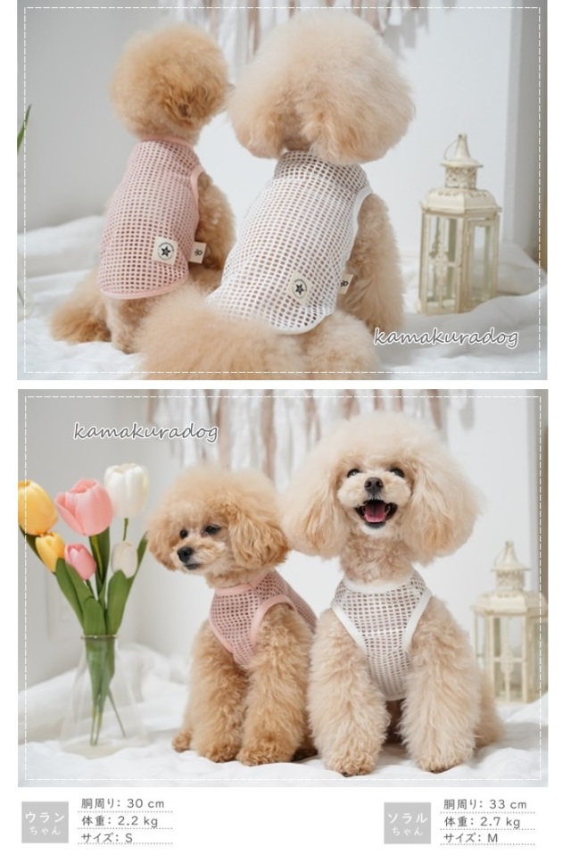 可愛い小型犬の洋服通販 鎌倉ドッグ ドライメッシュタンク