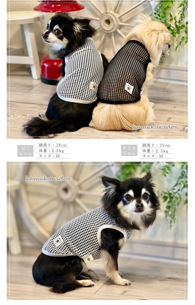 可愛い小型犬の洋服通販 鎌倉ドッグ ドライメッシュタンク