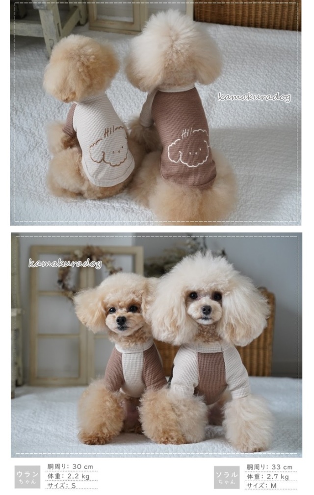 可愛い小型犬の洋服通販 鎌倉ドッグ ドギーサーマルニット