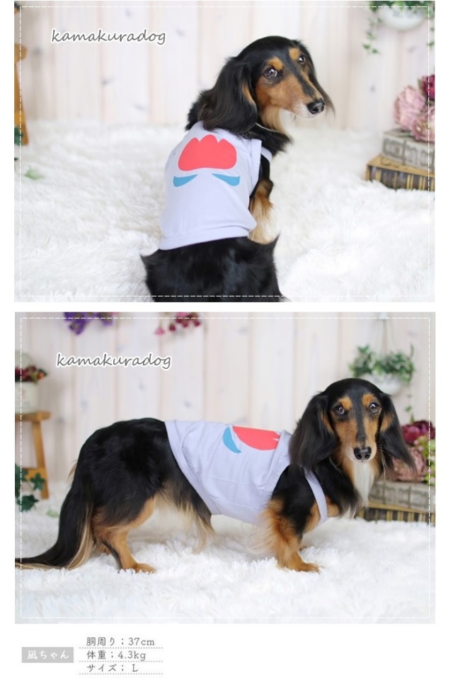 可愛い小型犬の洋服通販 鎌倉ドッグ なごみキャミソール