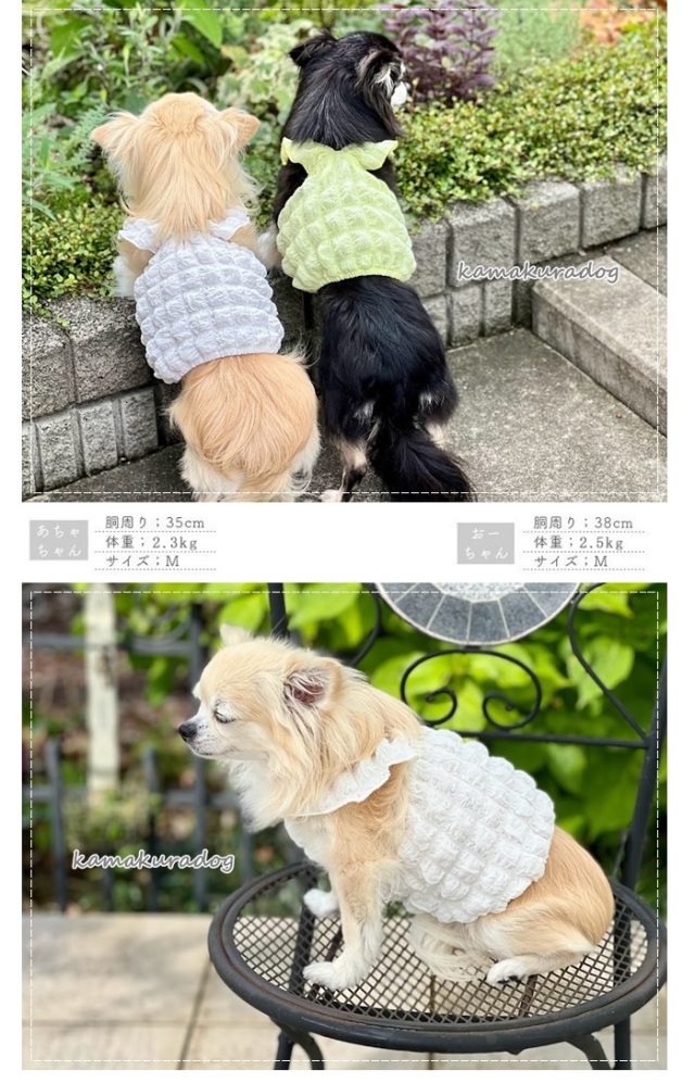 鎌倉ドッグ　kamakura dog ショート丈まとめ売り　Mサイズ 楽天市場】【 犬 服 ショート丈 ボーダー 】 ショート丈