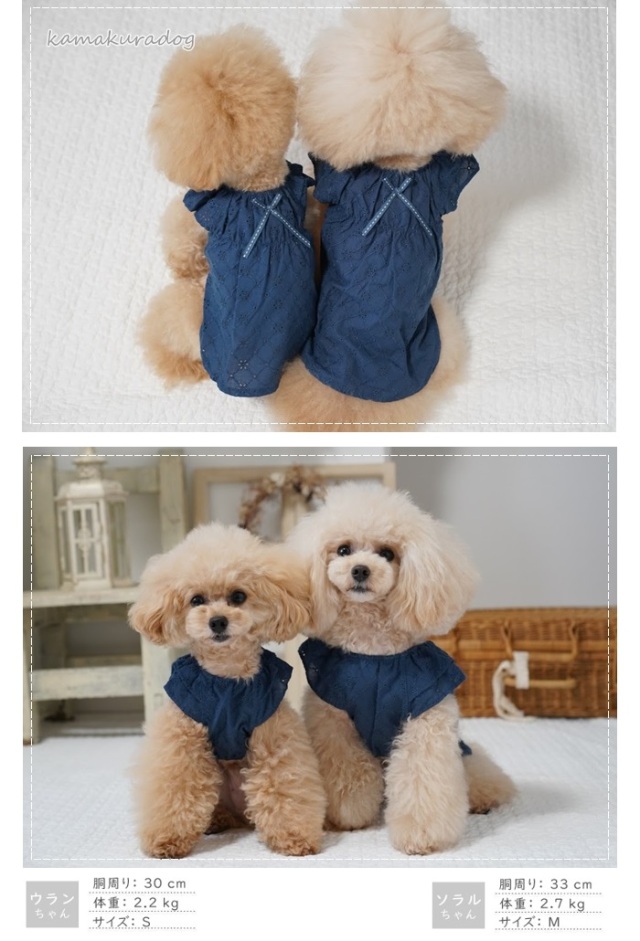 ハンドメイド　スノーカットドビー立ち襟バルーンチュニック　犬服 可愛い小型犬の洋服通販 鎌倉ドッグ ノーブルチュニック