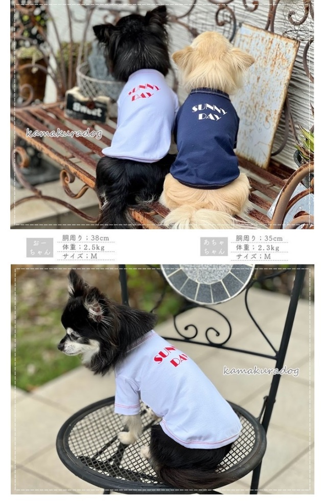 可愛い小型犬の洋服通販 鎌倉ドッグ SUNNY DAYシャツ