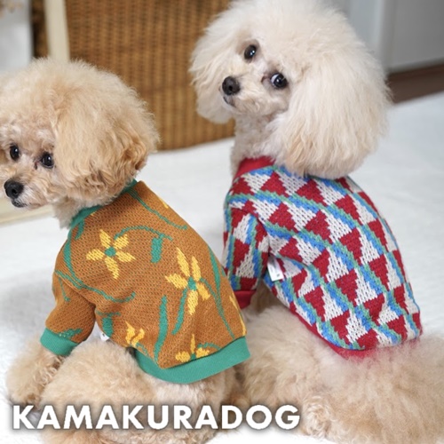 犬服　まとめ　DSSサイズ　 5枚組 デニムオールインワン 名入れ 刺繍 ダックスサイズ ストレッチ