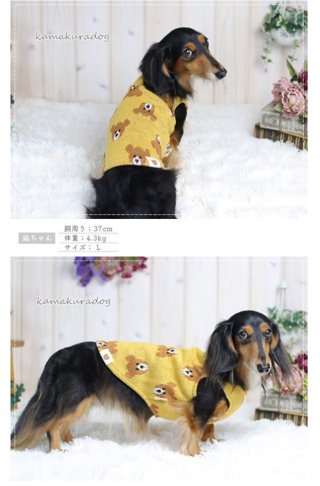 可愛い小型犬の洋服通販 鎌倉ドッグ ジャガードベアーベスト
