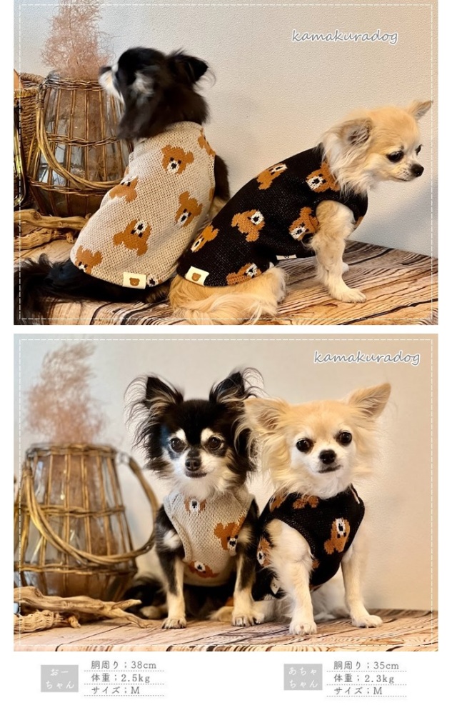 瑠璃福犬ペア ドッグプレイ(R) セットアップ 風 つなぎ おそろコーデ ダックス