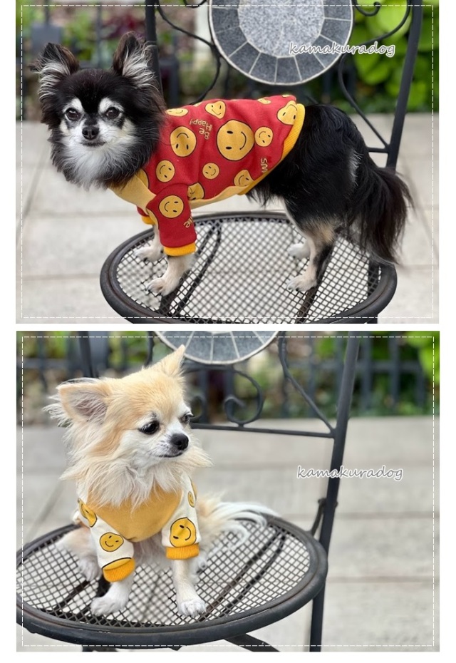可愛い小型犬の洋服通販 鎌倉ドッグ ハッピーフェイストレーナー