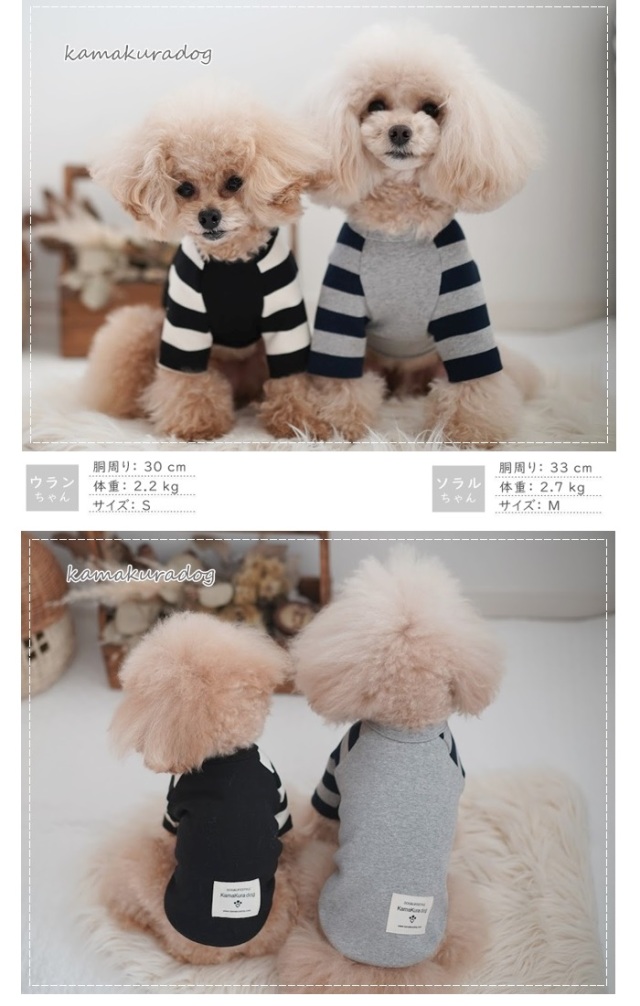 可愛い小型犬の洋服通販 鎌倉ドッグ ラグランボーダーT