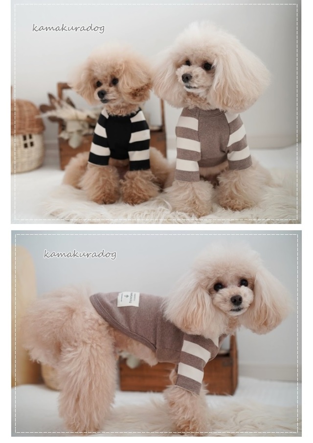 可愛い小型犬の洋服通販 鎌倉ドッグ ラグランボーダーT