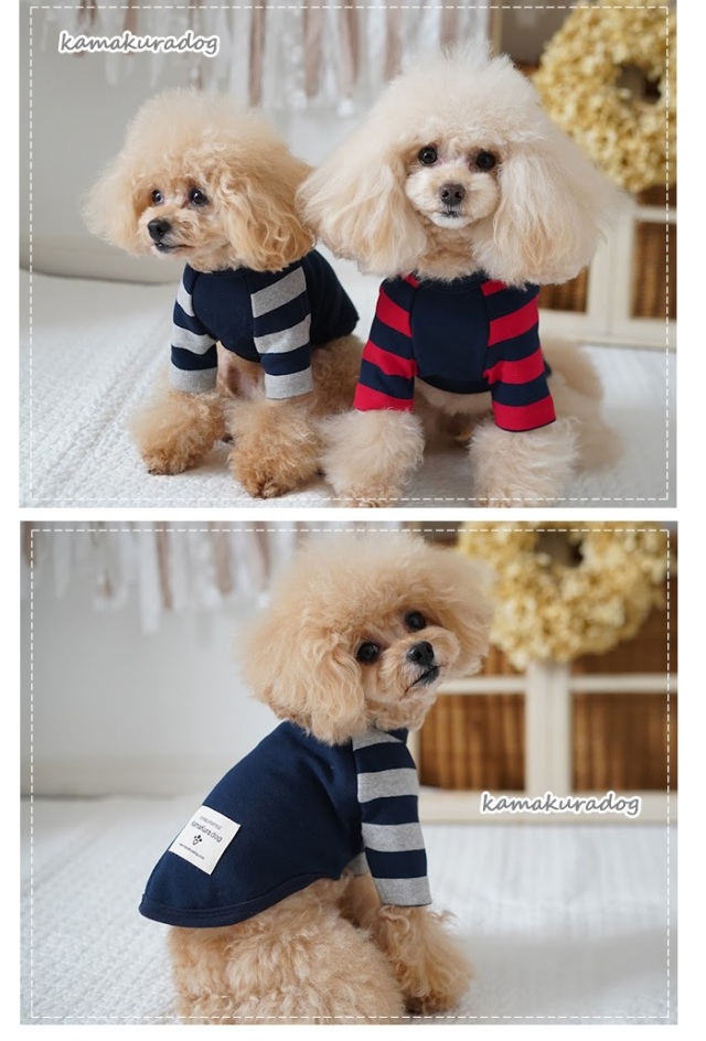 No.24 ハンドメイド犬服 ラグランTシャツ