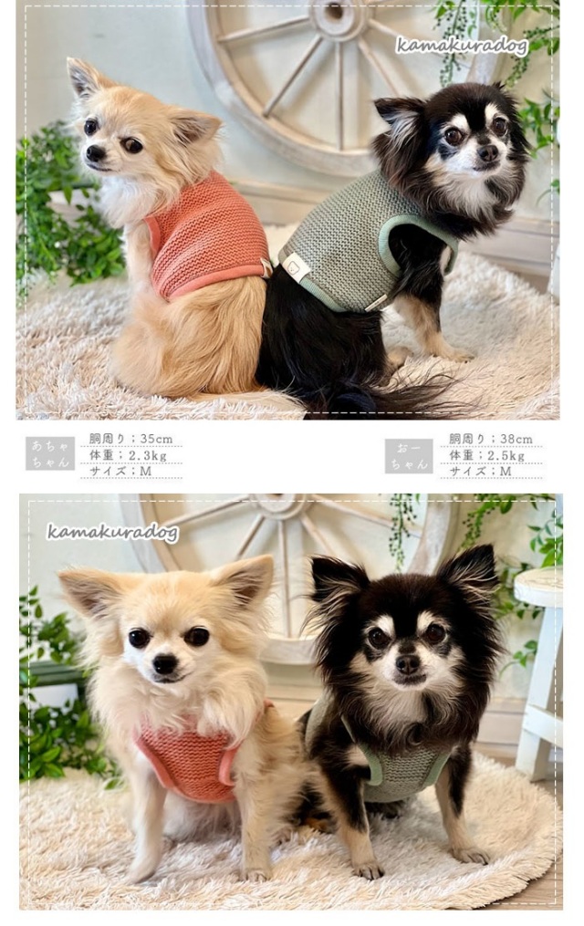 可愛い小型犬の洋服通販 鎌倉ドッグ ショート丈メッシュニット