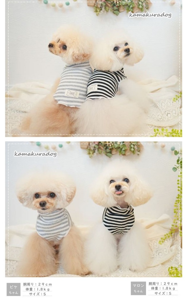 【新品】W143♡ボリュームフリル♡もふもふケ-プ防寒着ネックレス付-小型犬 可愛い犬の服、小型犬、ペットの服通販