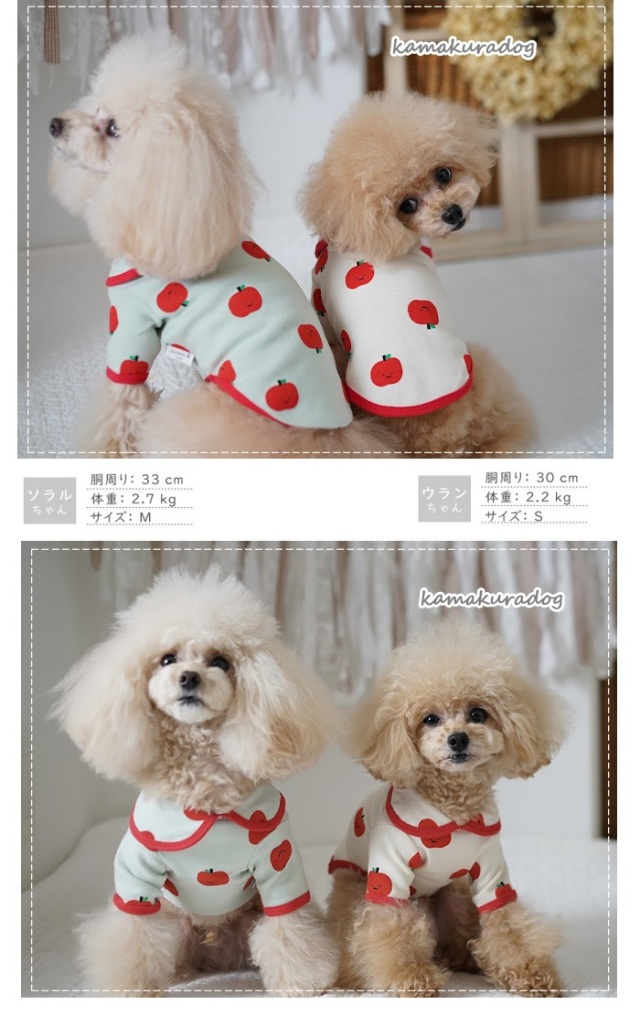 可愛い小型犬の洋服通販 鎌倉ドッグ リンゴちゃんシャツ