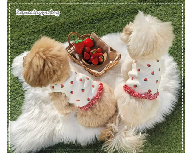 恋いちごワンピースのセットイントレーナー犬服 （胴回り33〜49センチ