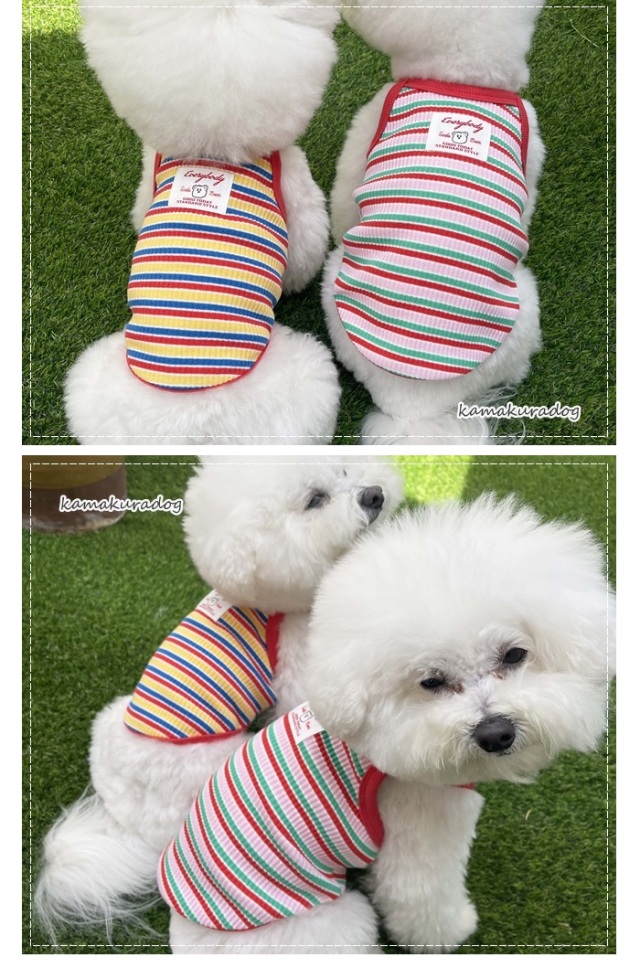 可愛い小型犬の洋服通販 鎌倉ドッグ くまタグボーダーキャミソール