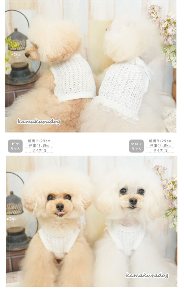 【新品】W143♡ボリュームフリル♡もふもふケ-プ防寒着ネックレス付-小型犬 楽天市場】セール 犬 服 秋 ワンピース 小型犬 レース ホワイト