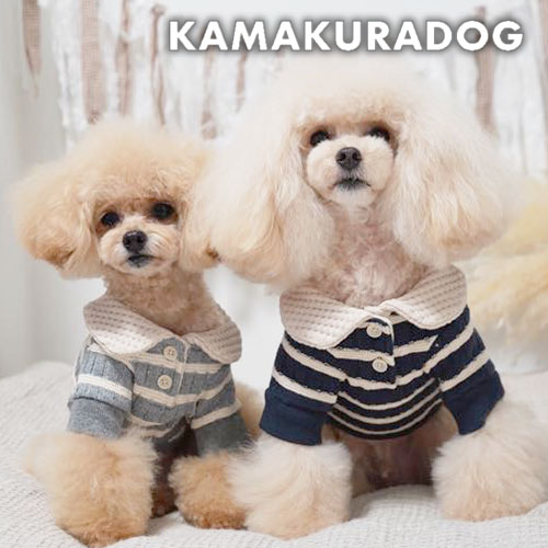 ワッフルカラーボーダーニット