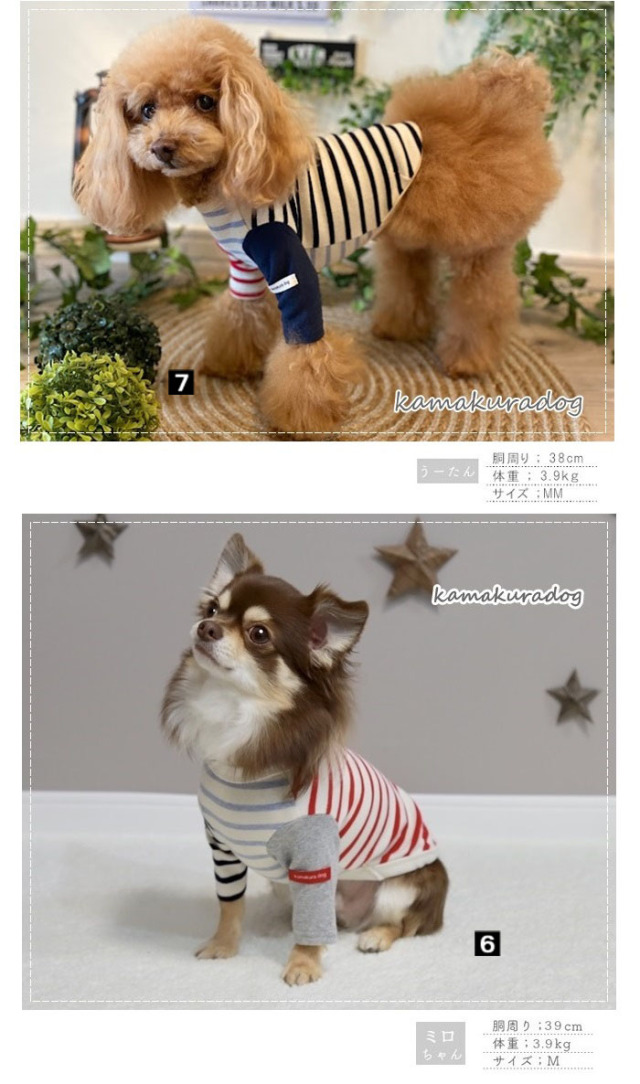 犬服 SS わんこの普段着　フルーツカシェ　ボーダー 犬服 SS わんこの普段着 フルーツカシェ ボーダー 犬服 SS わんこの