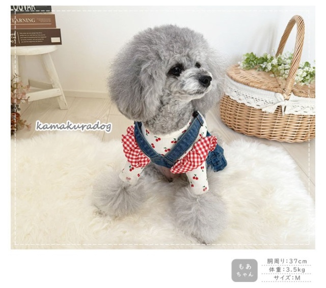 可愛い小型犬の洋服通販 鎌倉ドッグ 肩フリルプチフルーツT
