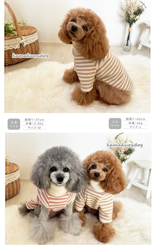 可愛い小型犬の洋服通販 鎌倉ドッグ モカスフレボーダー