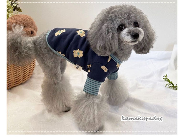 可愛い小型犬の洋服通販 鎌倉ドッグ おしゃれくまさんトップス