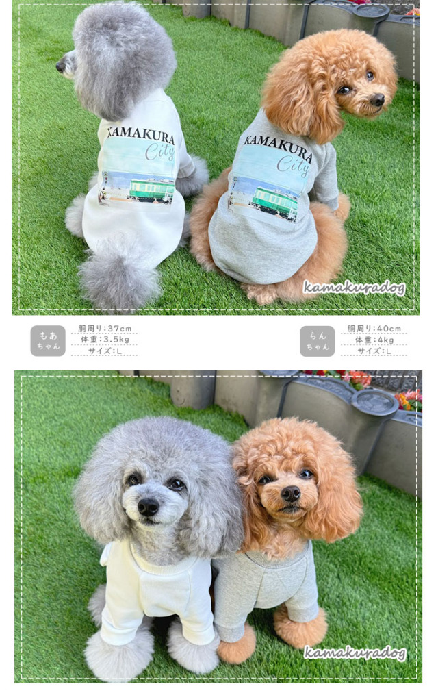 可愛い小型犬の洋服通販 鎌倉ドッグ 鎌倉cityスウェット