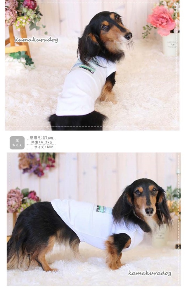 可愛い小型犬の洋服通販 鎌倉ドッグ 鎌倉cityタンクトップ