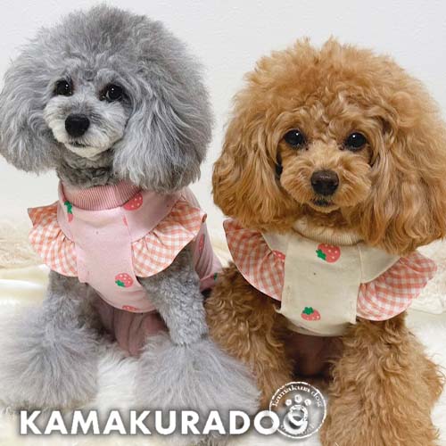 ミルキーベリーシャツ