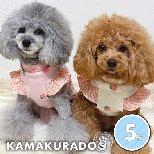 ミルキーベリーシャツ