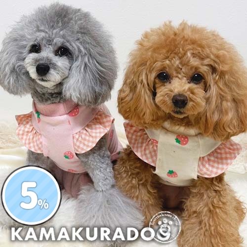 ミルキーベリーシャツ