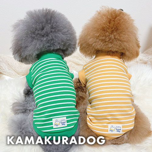 セール！約3.5kgの小型犬にぴったりのMサイズ犬服特集｜快適