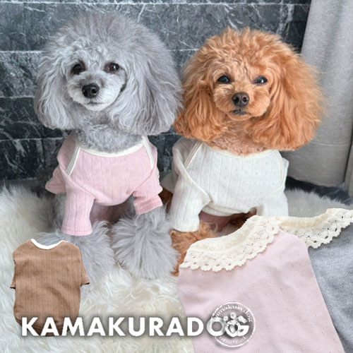 レース＆シンプルデイリートップス