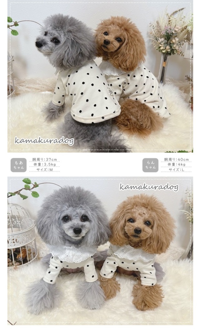 専門ショップ 犬服 わんこの普段着 グレープドット S 犬服