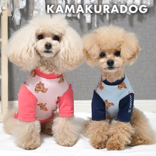 可愛い小型犬の洋服通販 鎌倉ドッグ ベアラッシュガード
