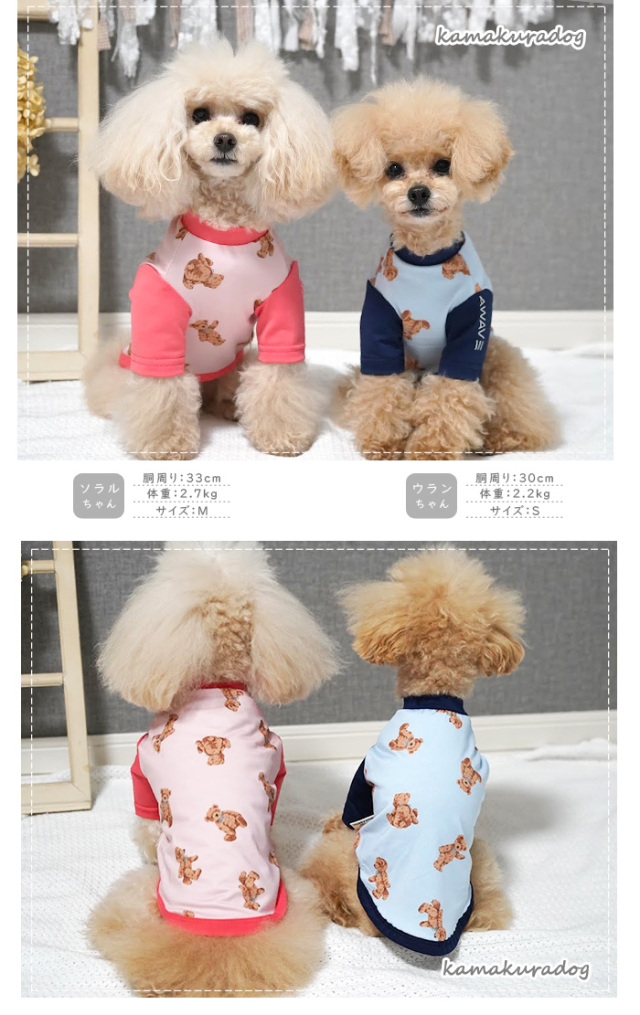 可愛い小型犬の洋服通販 鎌倉ドッグ ベアラッシュガード