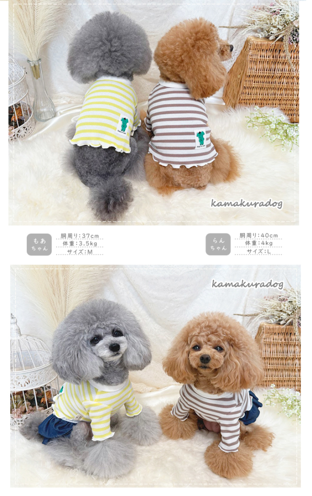 可愛い小型犬の洋服通販 鎌倉ドッグ ワッフルボーダーT