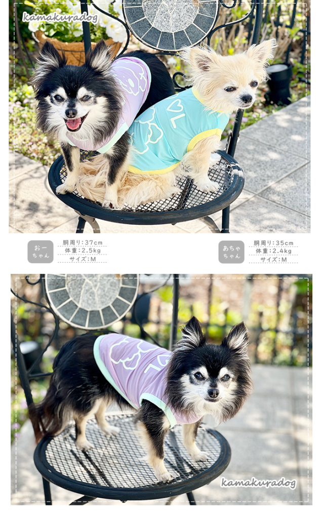 可愛い小型犬の洋服通販 鎌倉ドッグ クールドッグタンク