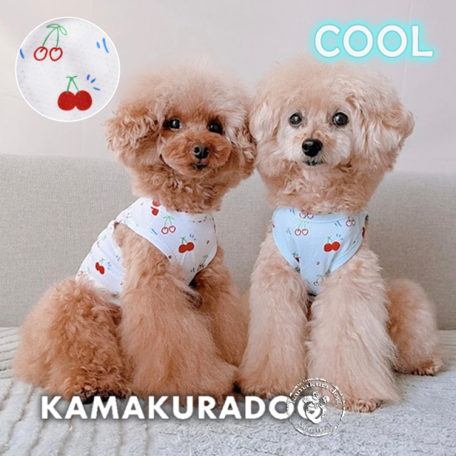 COOLメッシュチェリー柄タンク