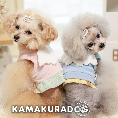 犬用ベスト特集｜小型犬にぴったりのおしゃれで快適なベスト