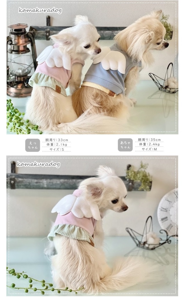 天使ベスト 可愛い小型犬の洋服通販 鎌倉ドッグ