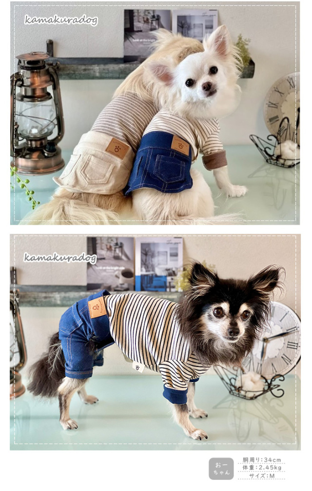 アトリエgg　Lady Silk スタンドカラー犬服 アトリエgg Lady Silk スタンドカラー犬服 女性用服