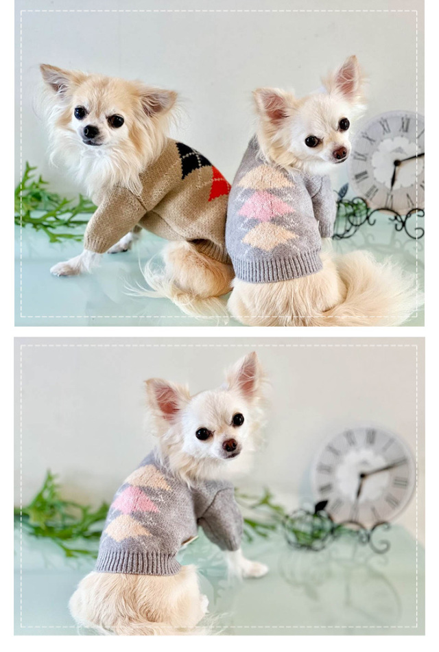 殿堂 アーガイル柄ニット 可愛い小型犬の洋服通販 鎌倉ドッグ 犬服・アクセサリー